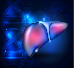 Liver anatomy abstract blue scientific background with DNA chain