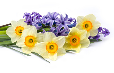 Bouquet of narcissus and hyacinth on white background