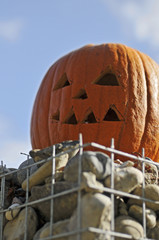 Ausgehöhlter Kürbis mit geschnittenem Gesicht zum Halloween-Fest auf einem Steinhaufen in...