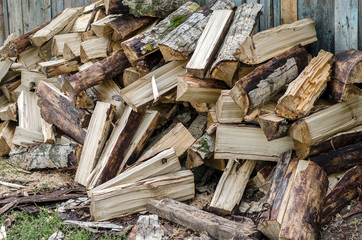 Many Scattered Wet Firewood.