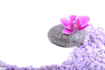 Spa accessories on the light background