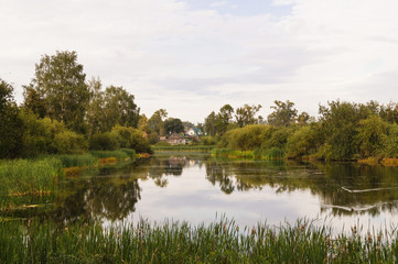 landscape of a calm pound with  green forest around