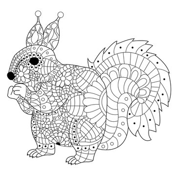 Squirrel Coloring Vector For Adults