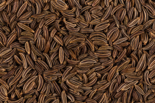 Close up caraway seeds