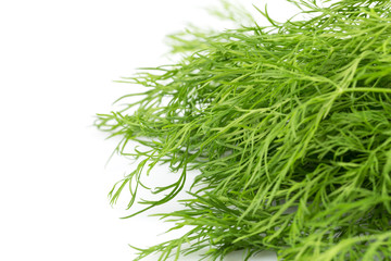 Fresh organic dill