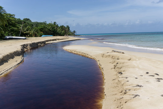 natural pollution on water. Black water mixed with sea in Corn Island, Nicaragua