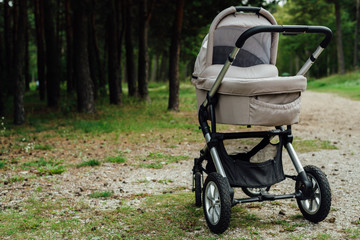 Fototapeta na wymiar Baby stroller in forest
