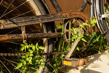 LOST BIKE