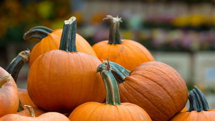 Kürbis Kürbisse an einem Markstand 