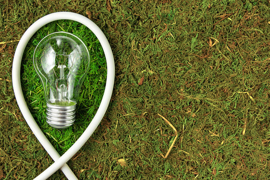 Green energy. Concept ecology. Light bulb on green natural moss with copy space