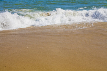 Beach and Beyond  Beach