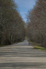 Country Road