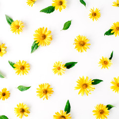 daisy, chamomiles and green leaves pattern. flat lay, top view