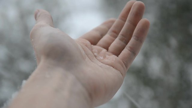 First snow on the hand