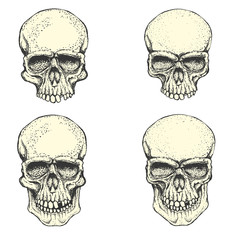 Set of hand drawn human skulls. Design elements for emblem, post