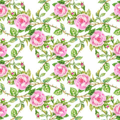 Beautiful Watercolor Summer Garden Blooming Flowers Seamless Pattern