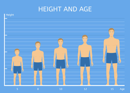 Height and age boys. The average height of children of different ages Stock  Vector