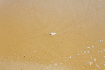 Beach and Beyond  Beach