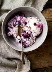 blueberry ice cream