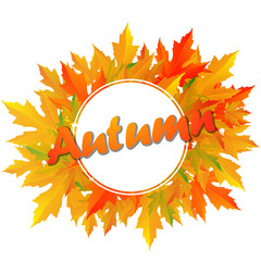 Autumn typographic. Fall leaf.