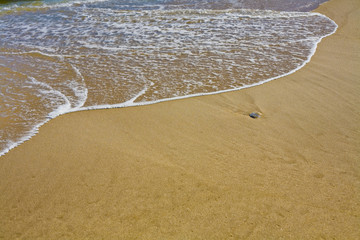 Beach and Beyond  Beach