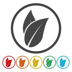 Icon leaf on circle