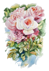 Summer hand drawing watercolor floral greeting card with blooming flowers peonies, roses, daisies, flower buds, violet, decoration flowers natural illustration