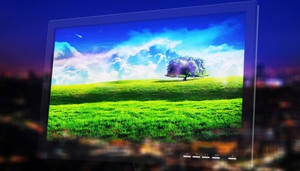 Computer monitor.