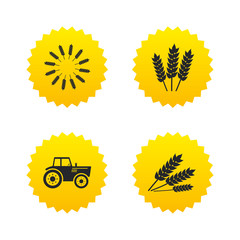 Agricultural icons. Wheat corn or Gluten free.