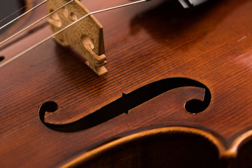Viol&iacute;n closeup con lente macro.