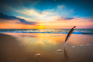 Beautiful sunrise over the sea and gull feather stuck into the s - Powered by Adobe