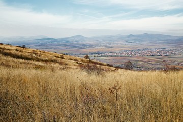 Dry autumn meadow