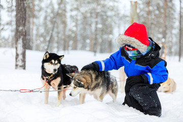 Fototapeta na wymiar Boy with husky dog