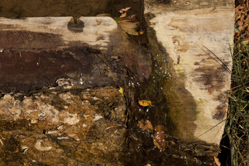 water trough
