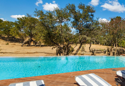 Fototapeta Pool with the view