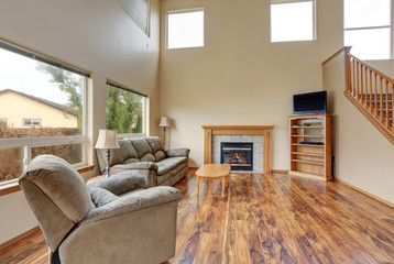 Traditional living room interior with hardwood floor and fireplace