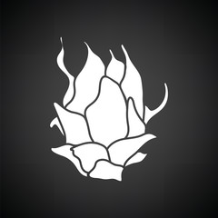 Dragon fruit icon