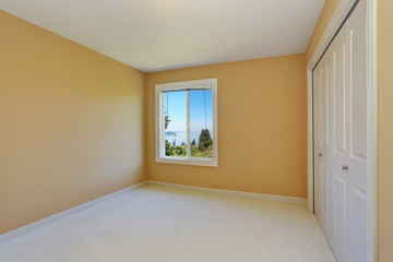 Empty room interior with yellow walls and one window