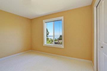 Empty room interior with yellow walls and one window