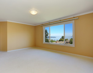 Empty room interior with yellow walls and one window