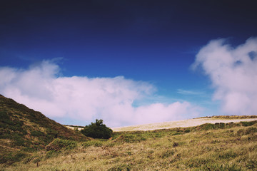 View of countryside from costal path near Polzeath Vintage Retro