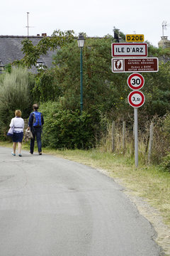 &icirc;le d'Artz