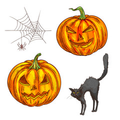 Halloween scary pumpkin lantern sketch icons