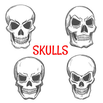 Skulls and skeleton craniums sketch icons