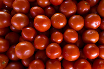 Tomatoes