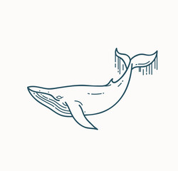 Whale linear illustration.