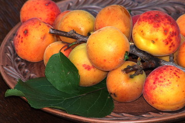 New ripe apricot fruits on a tree branch.