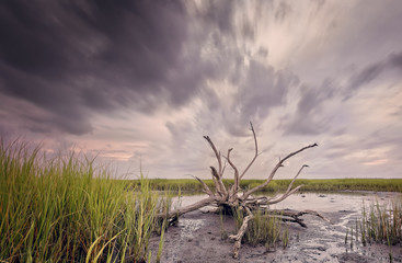 Seascape of Hilton Head Island