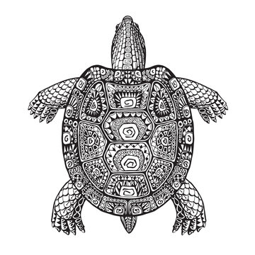 Turtle ethnic graphic style with decorative patterns. Vector illustration