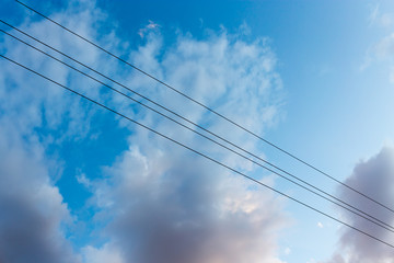 Fototapeta premium electrical wires on a background of night sky